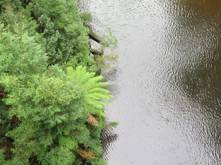 huskisson river, takayna/tarkine - north west tasmania