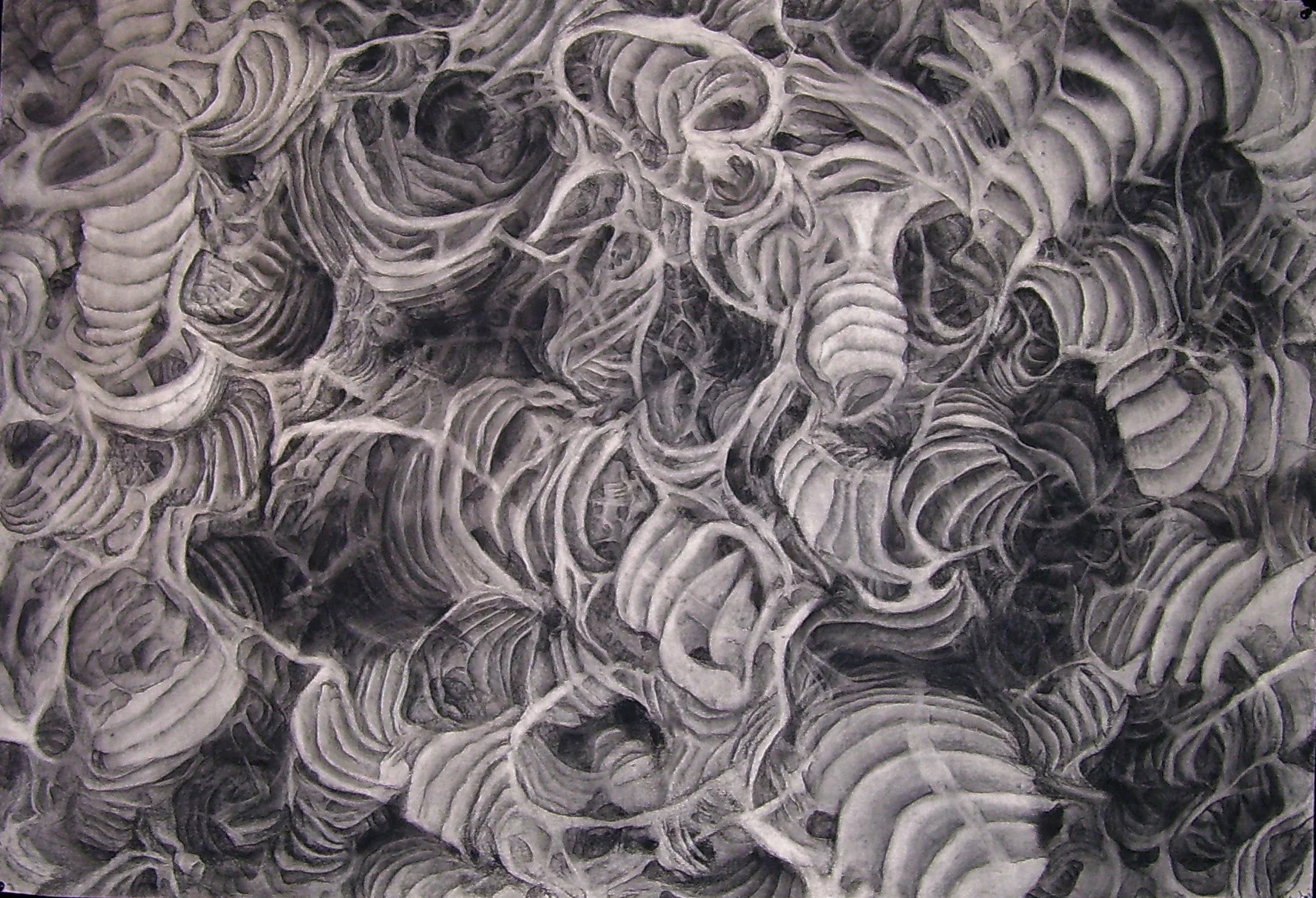 The Flow of Things/ 2005/ charcoal on paper/ 36 x 52 inches