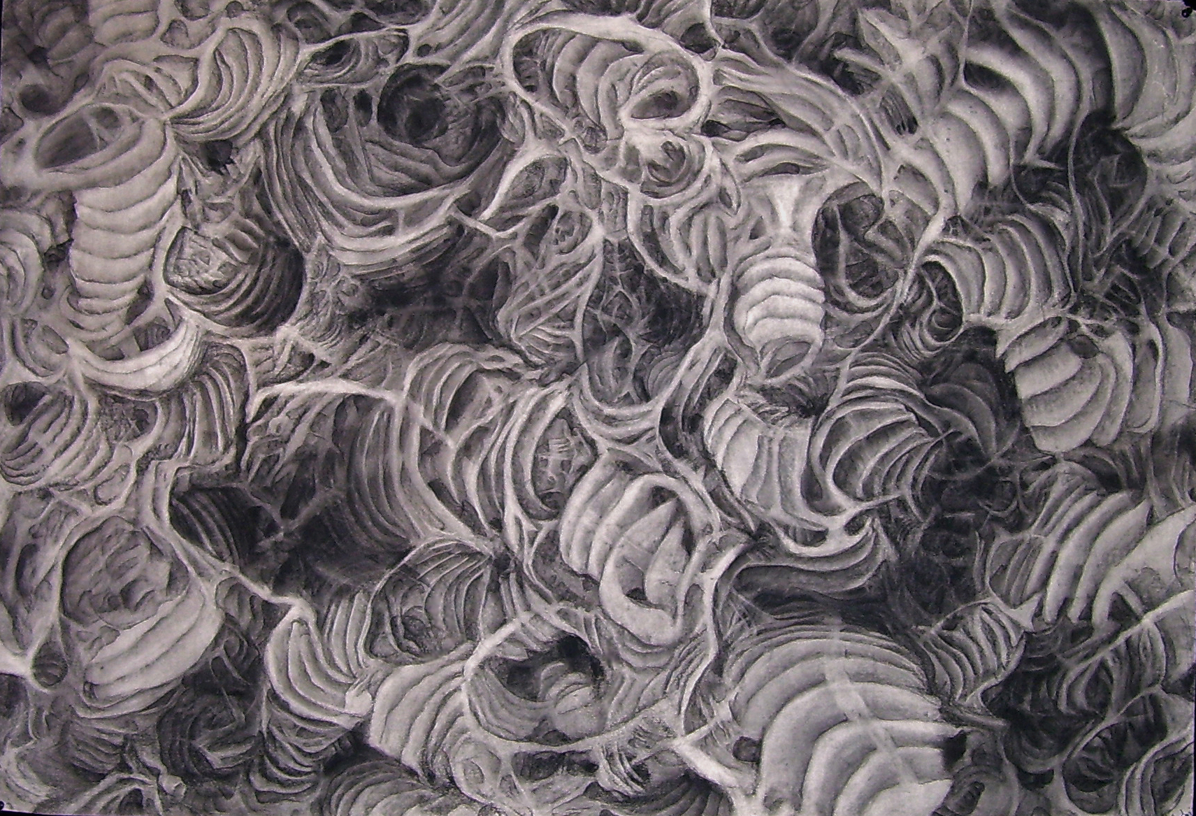  The Flow of Things/ 2005/ charcoal on paper/ 36 x 52 inches 