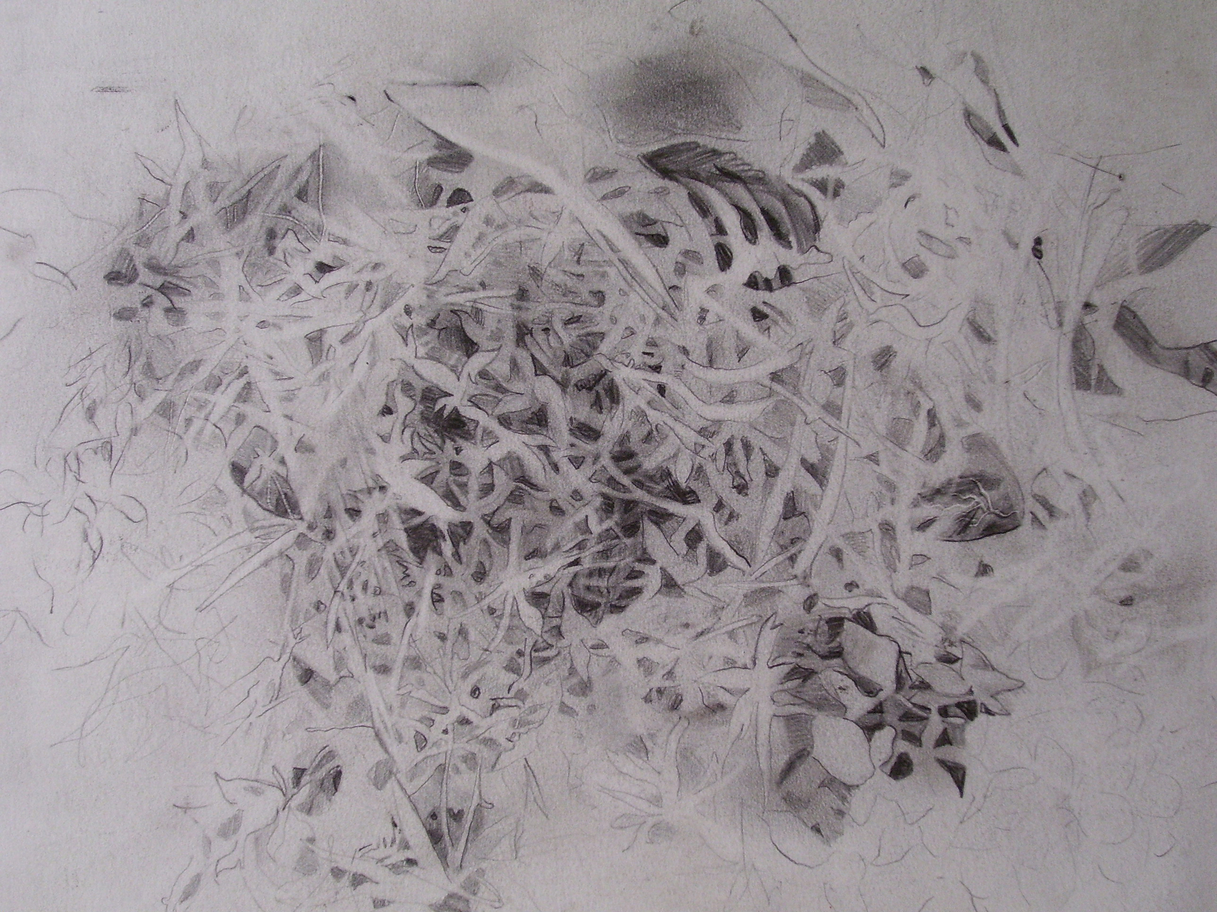  Formation/ 2004/ graphite on paper/ 9 x 12 inches 