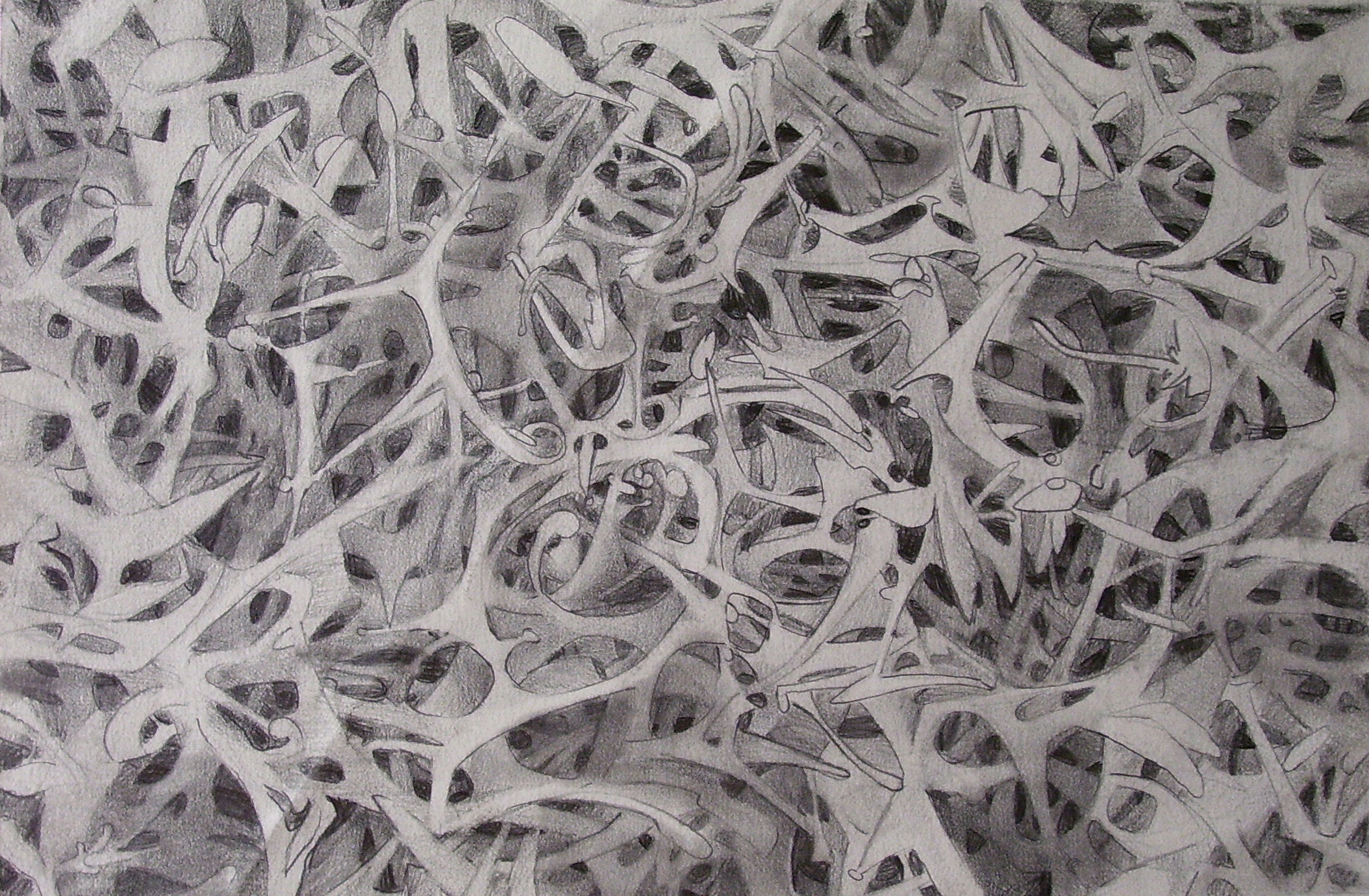  What is it?/ 2004/ graphite on paper/ 9 x 12 inches 
