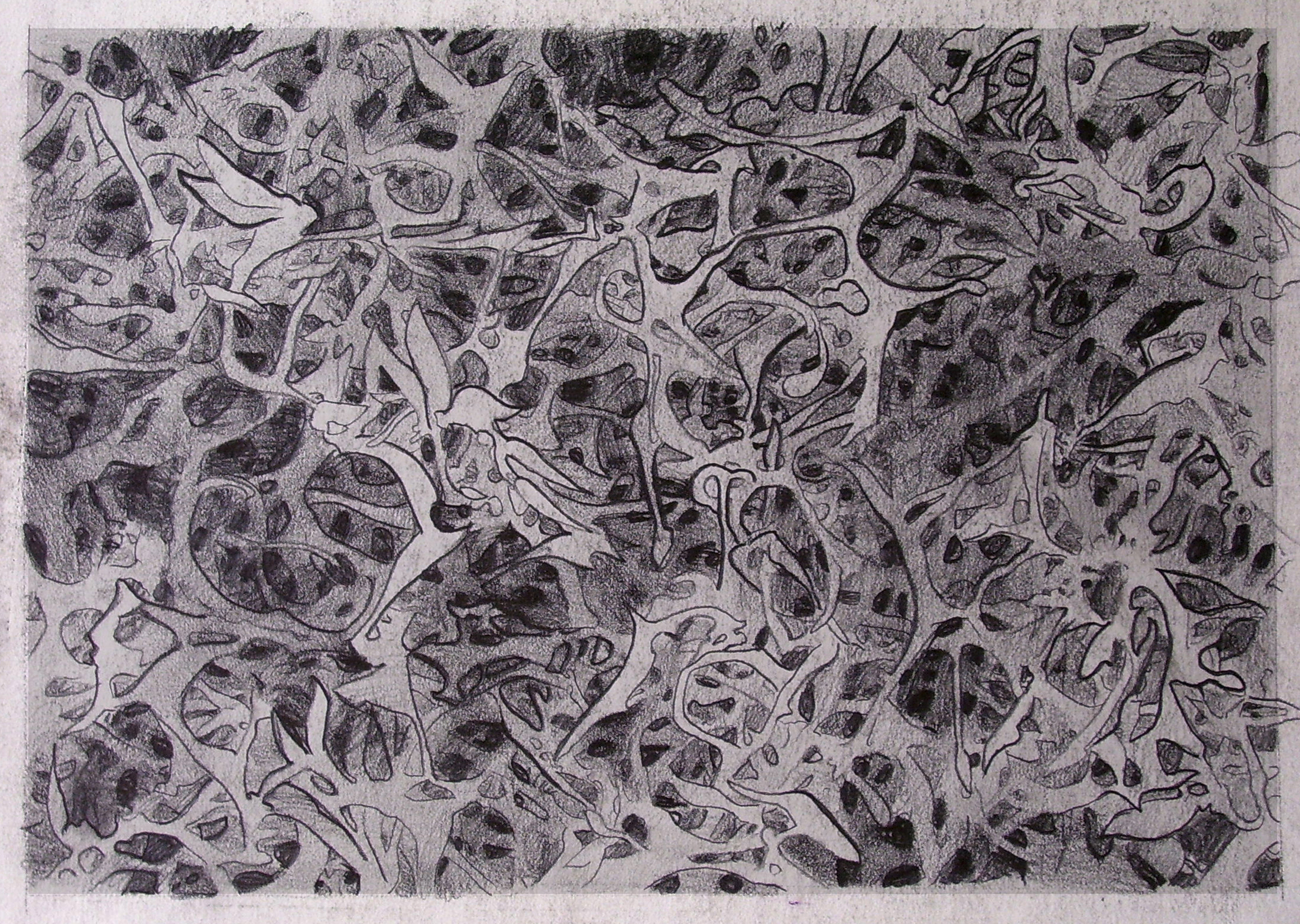  Connectoids/ 2004/ graphite on paper/ 9 x 12 inches 