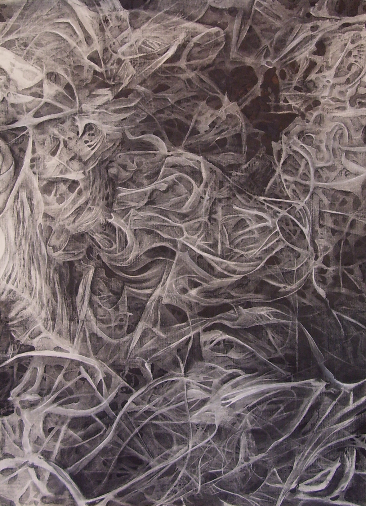 Metatectonic Activities/ 2002/ charcoal and ink on paper/ 45 x 33 inches
