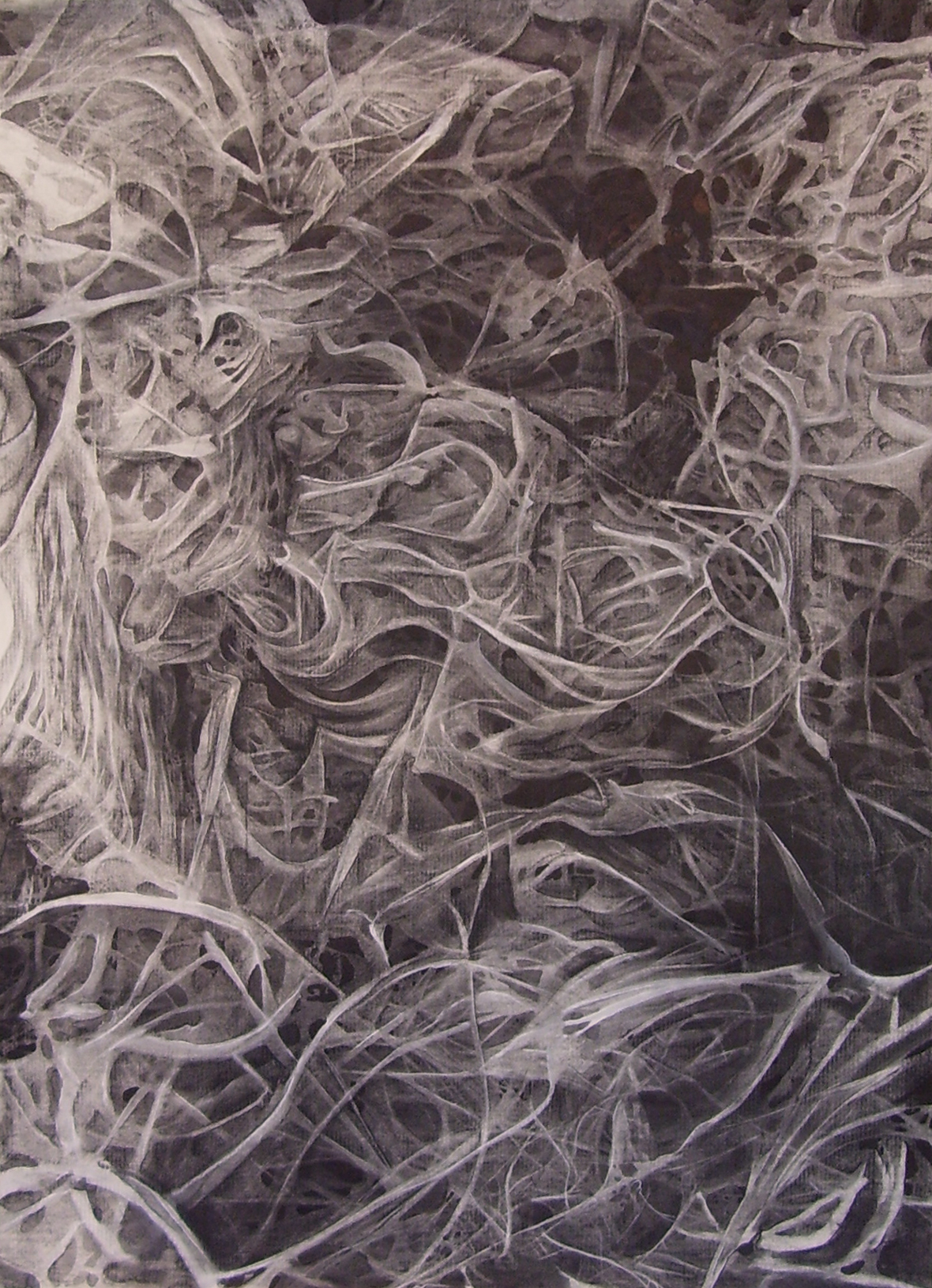  Metatectonic Activities/ 2002/ charcoal and ink on paper/ 45 x 33 inches 