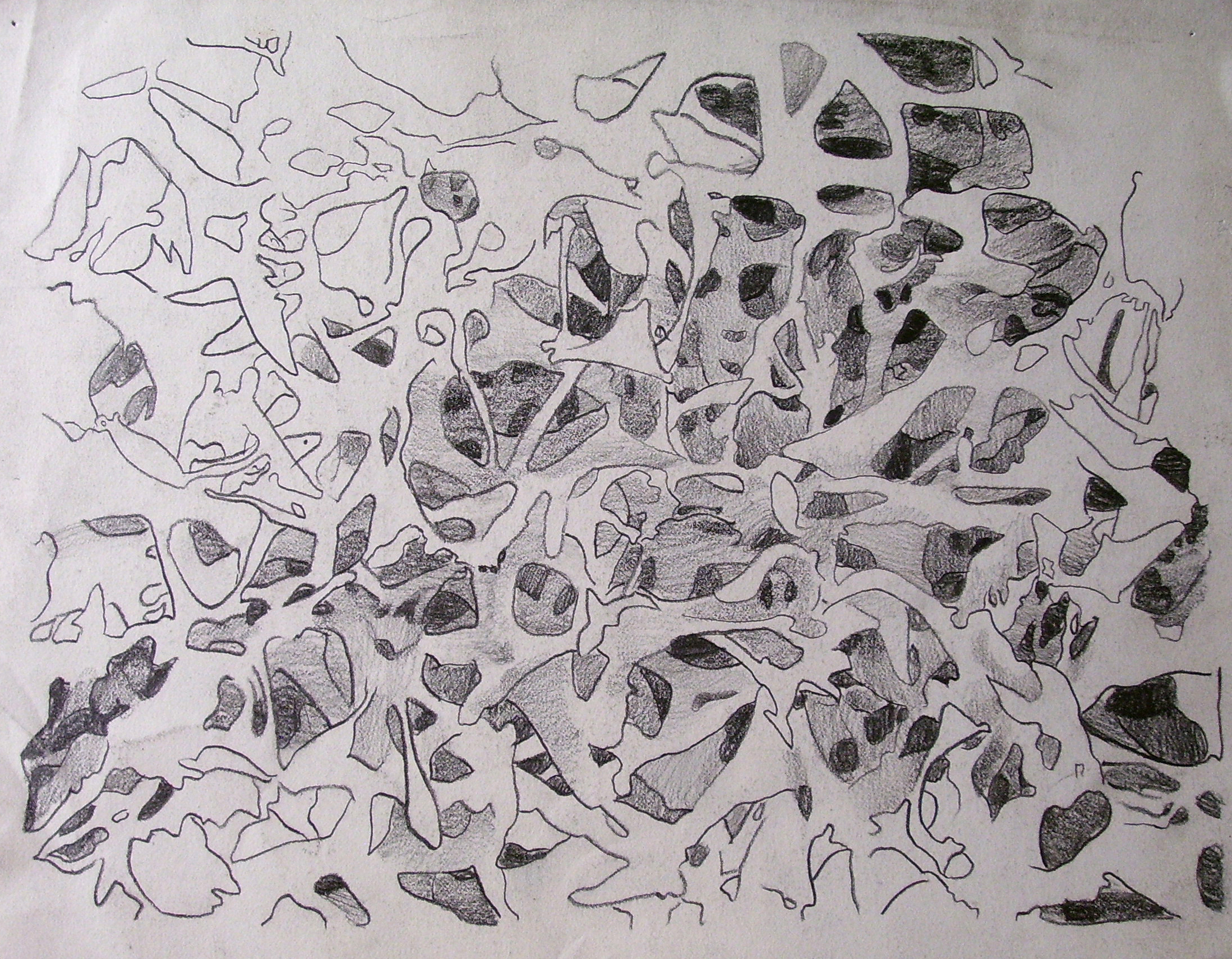  Galactic Sponge/ 2004/ graphite on paper/ 9 x 12 inches 