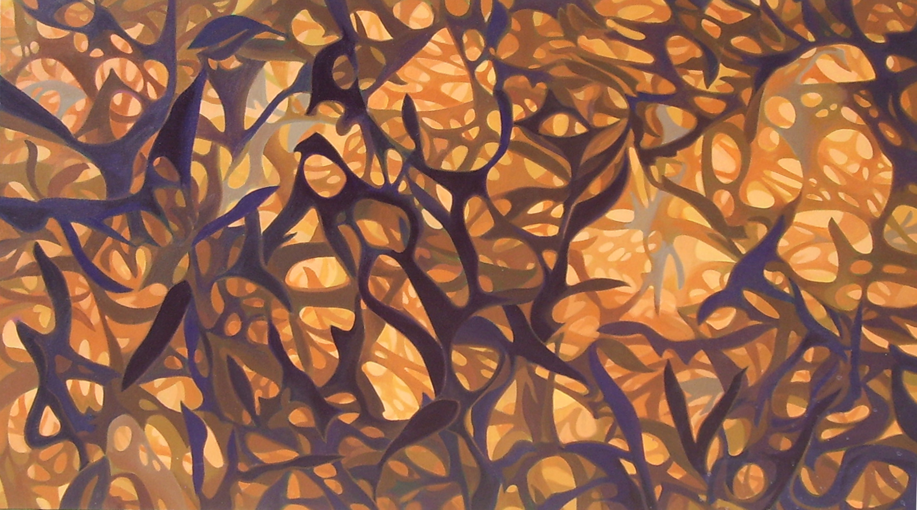  Networks/ 2003/ acrylic on canvas/ 38 x 67 inches 