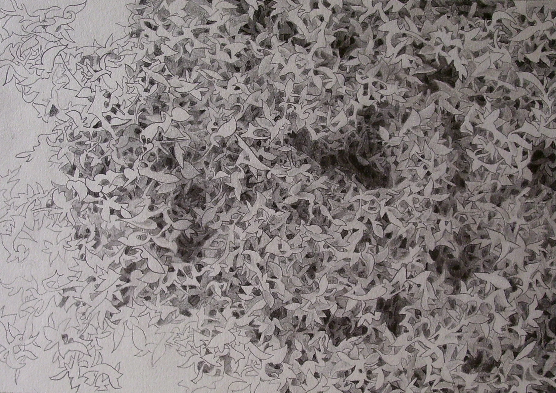 Flight/ 2004/ graphite on paper/ 9 x 12 inches