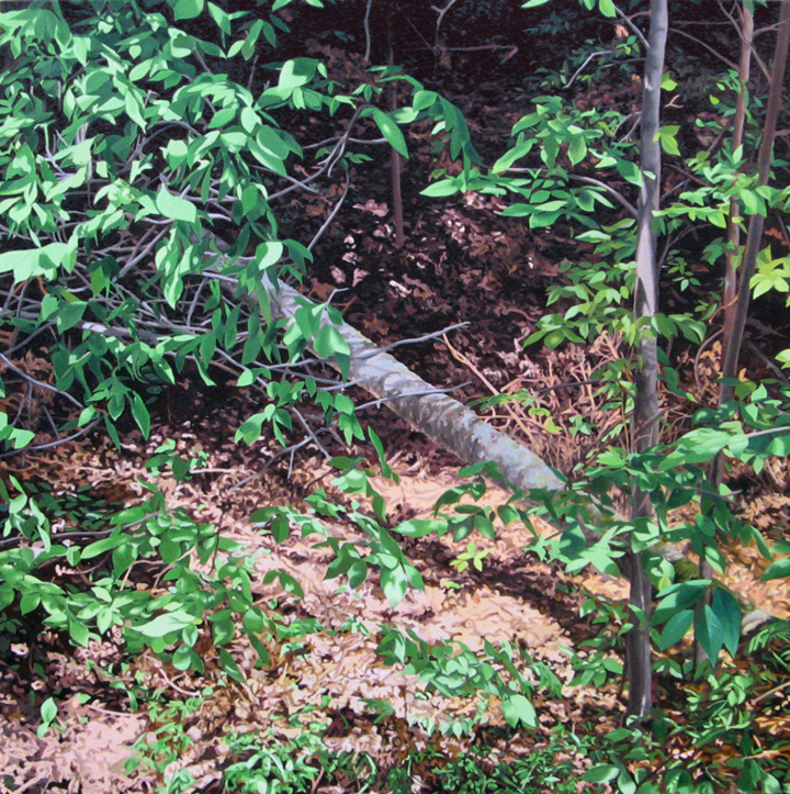 The Woods/ 2007/ oil on linen/ four by four feet