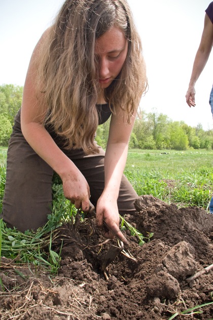 carmin digging.jpg