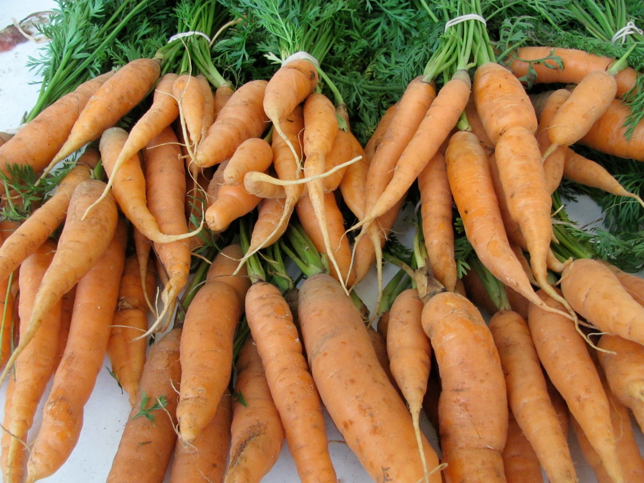 carrots.jpg