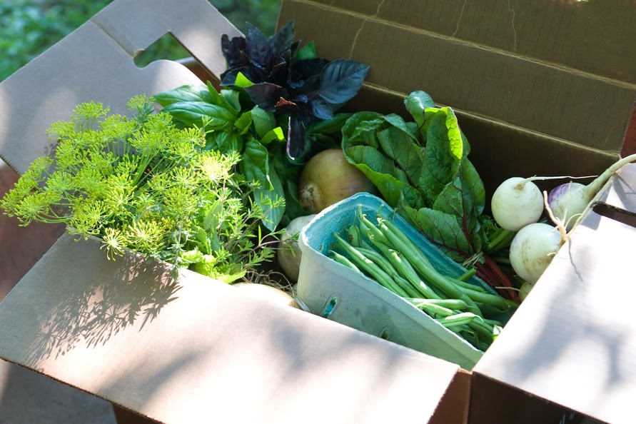 CSA Box of assorted, seasonal vegetables and herbs