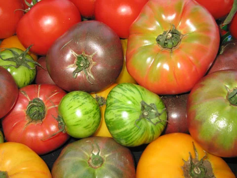 heirloom-tomato.jpg