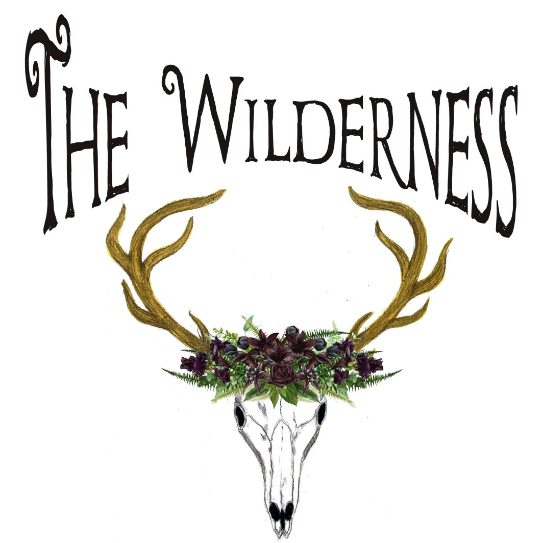 The Wilderness - Open Flame Theatre