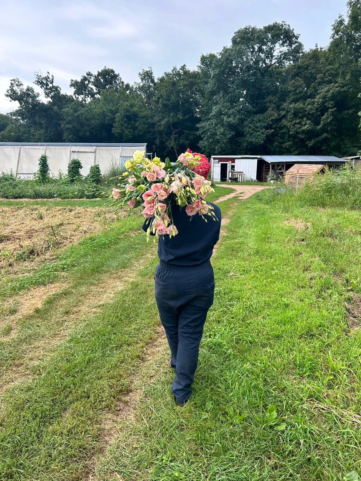 big bouquet of pink Lisianthus
