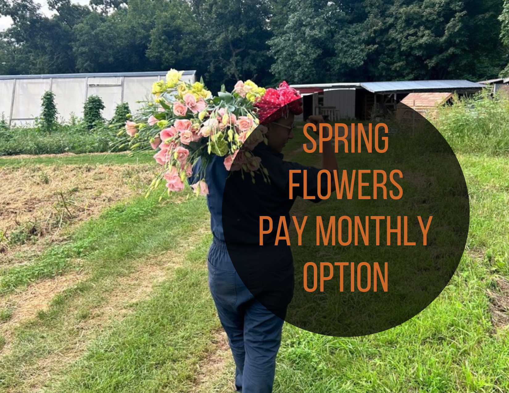 Spring Flower Subscriptions (1).png