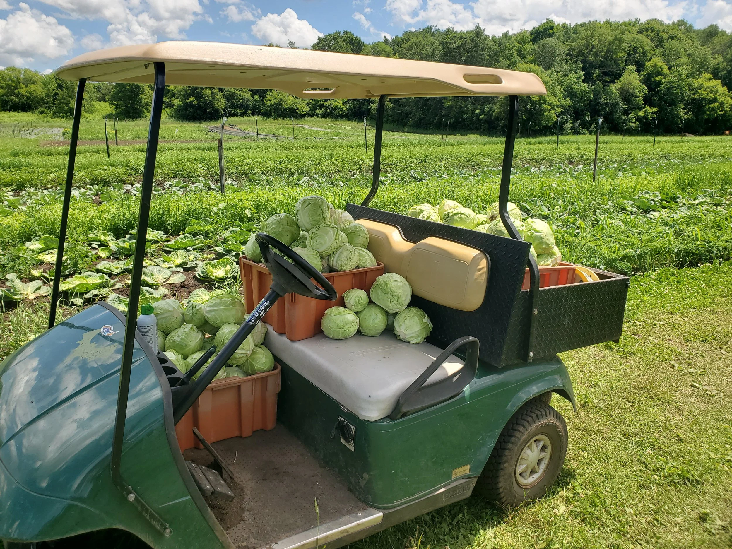 Philly Farm Produce Shares Sliding Scale 1 x Payment — Philadelphia ...