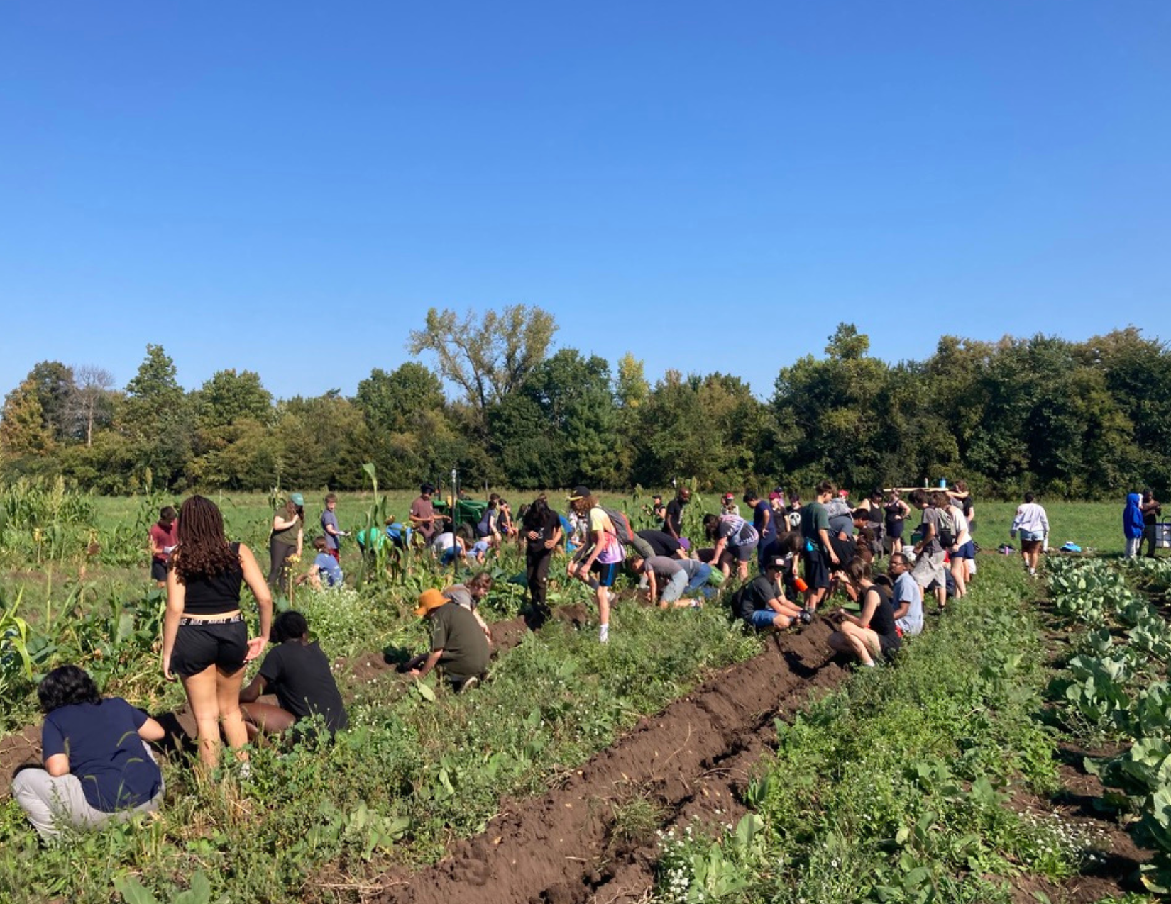 Philly Farm Produce Shares Sliding Scale 1 x Payment — Philadelphia ...