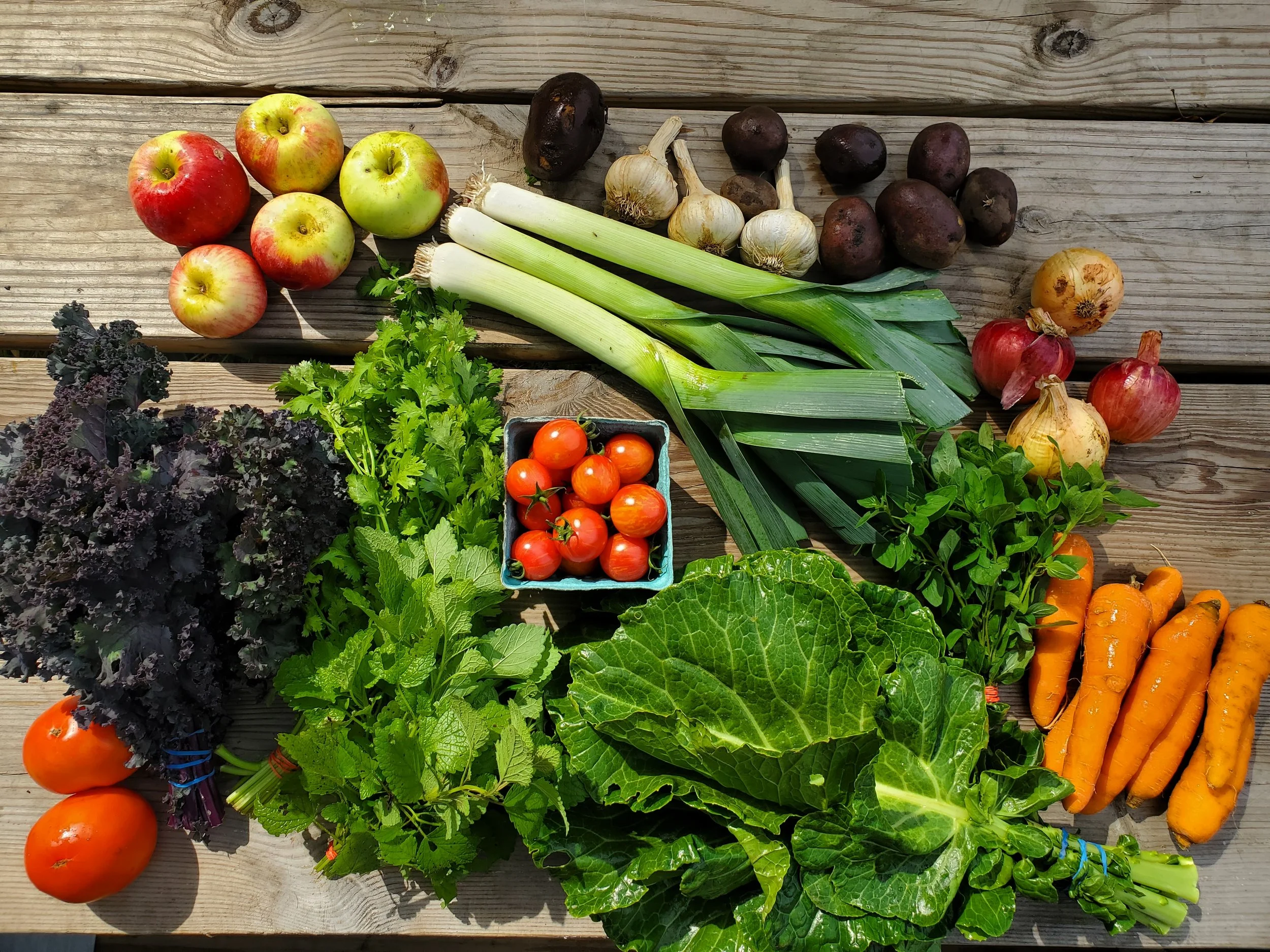 20250912_112450.jpg (Copy)