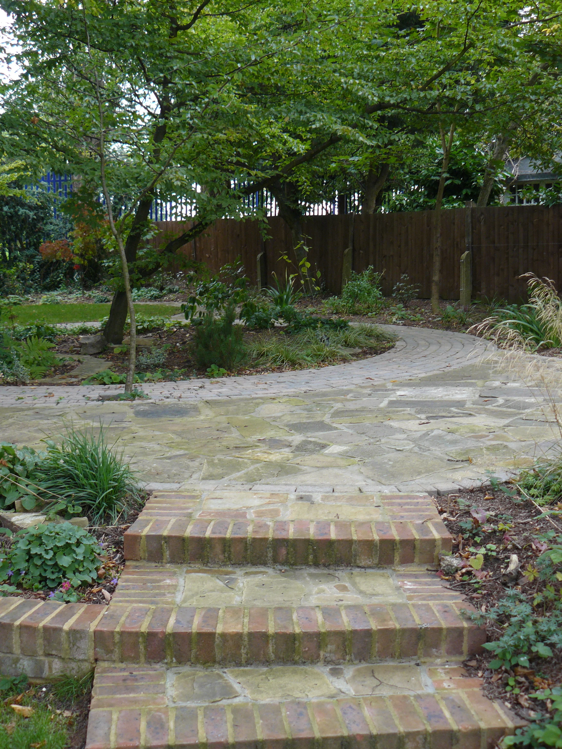 Hennigan garden, Muswell Hill