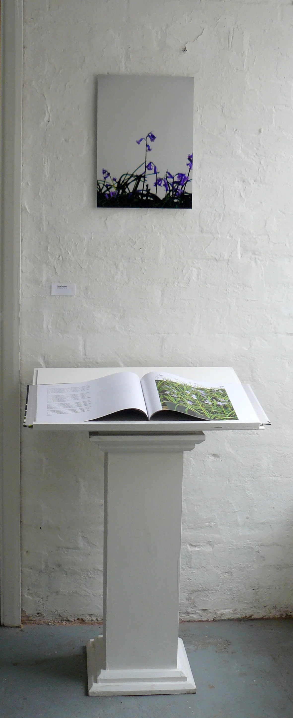 Bluebells 2011 installation view