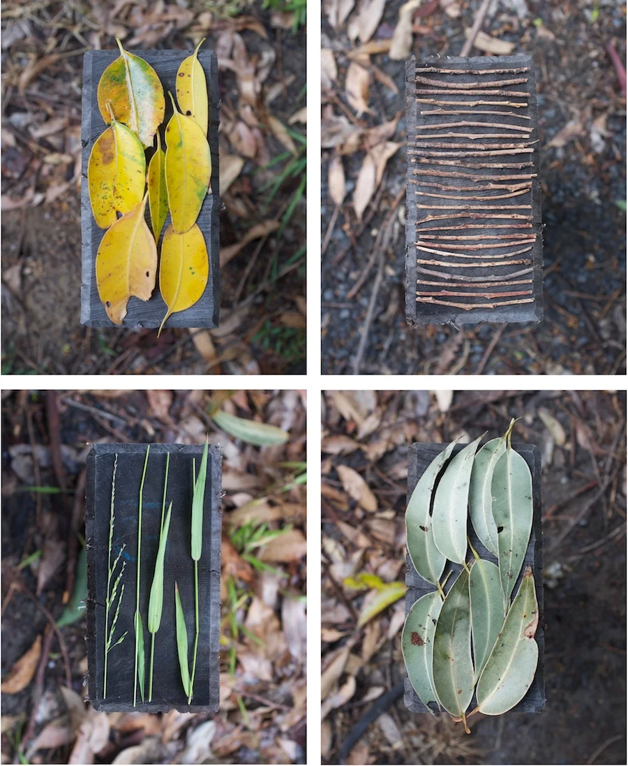 Penny Sadubin: Natural collection, Seven Mile Beach