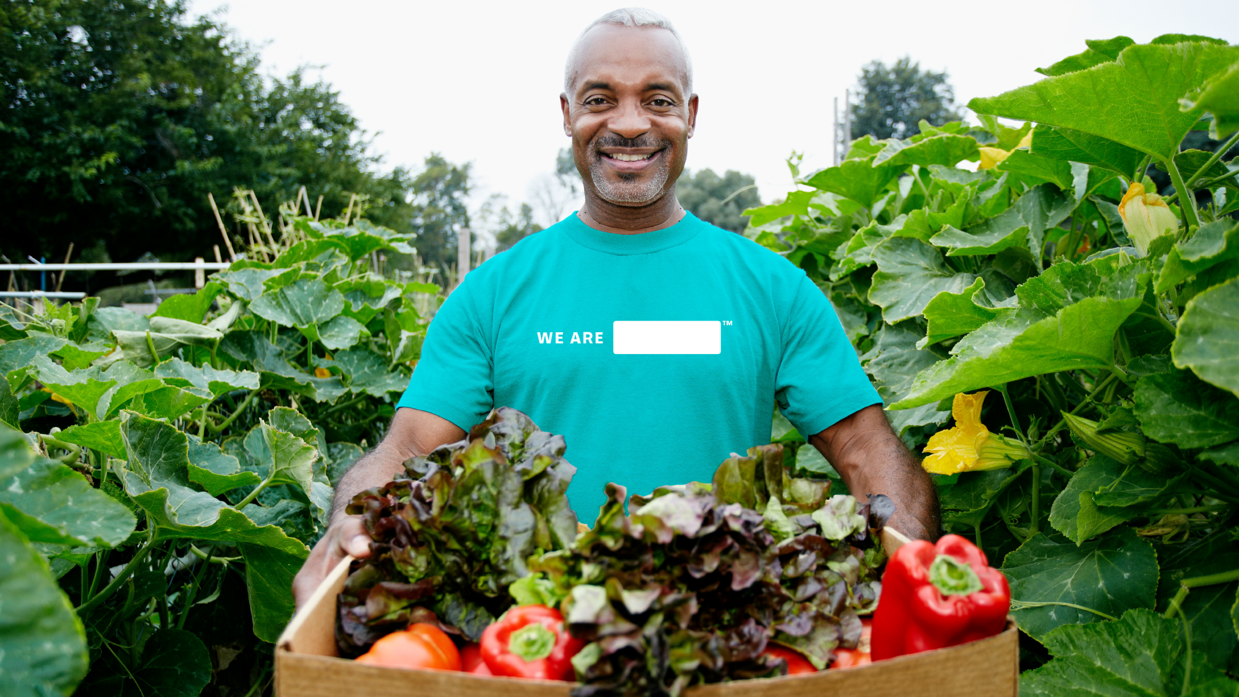 Brandless.Style.Guide.R4V4-55 copy.png