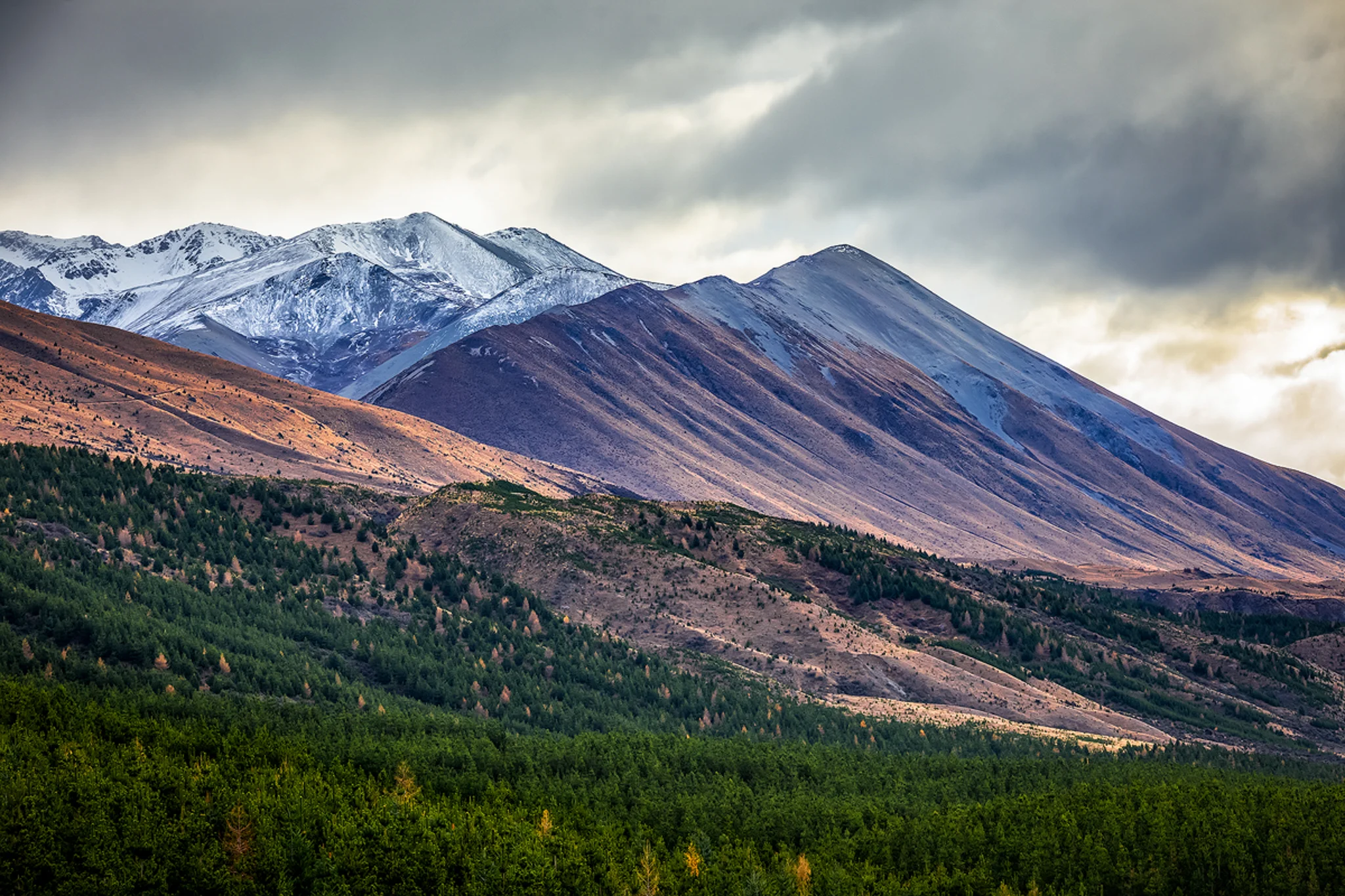 Webpage_NZ-17.jpg