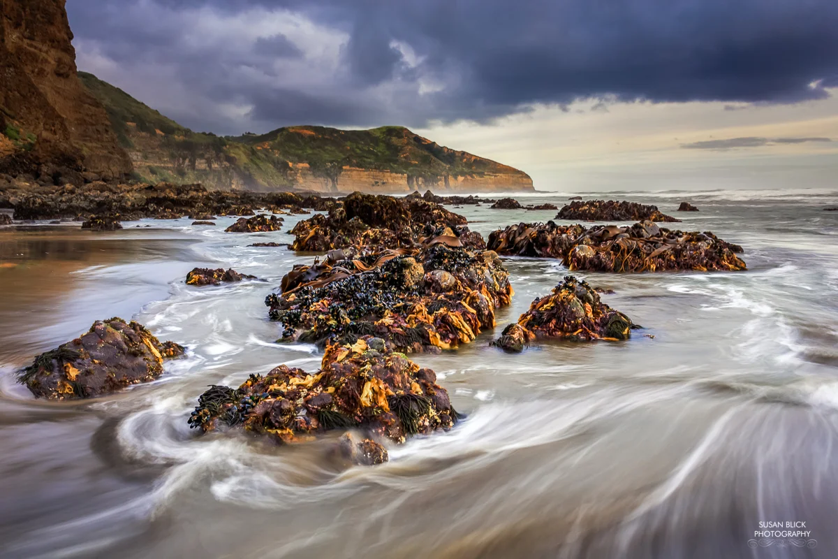 MaoriBay-3.jpg