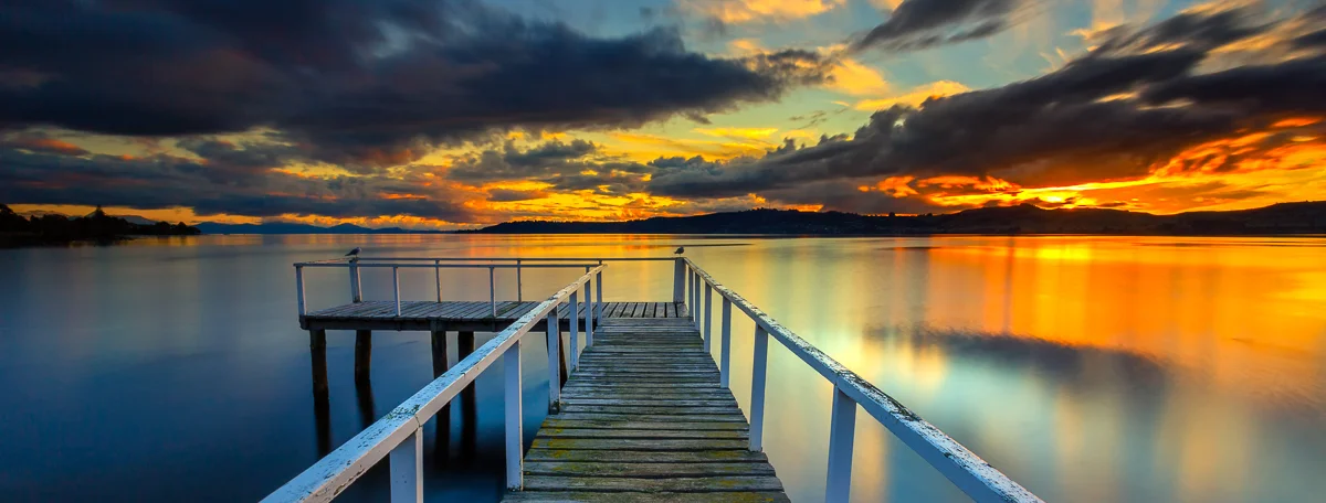 Webpage_NZ-4.jpg