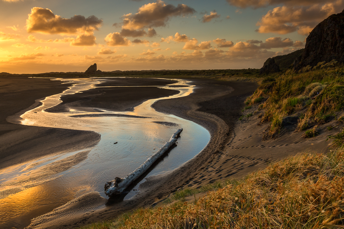 Webpage_NZ-8.jpg