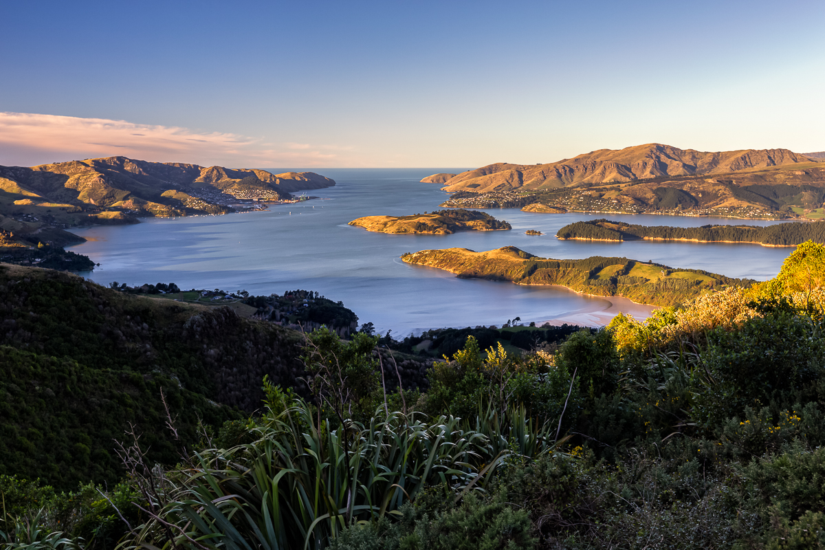 Webpage_NZ-39.jpg