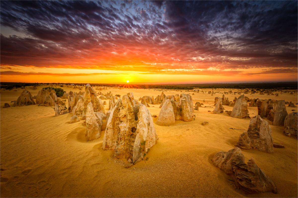 webpage_Aust-10.jpg