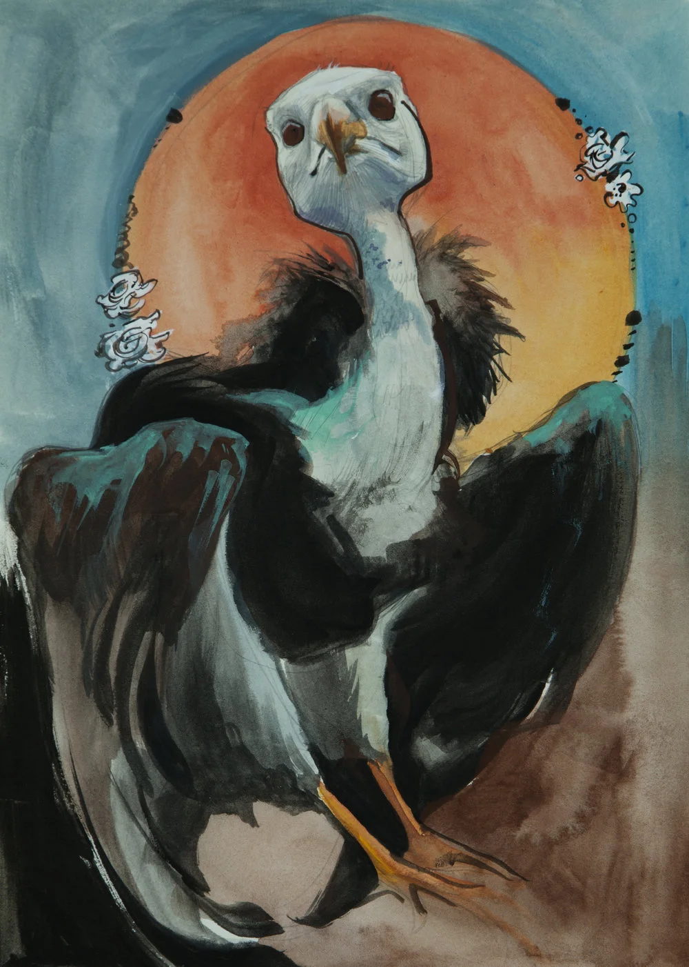 Condor.
