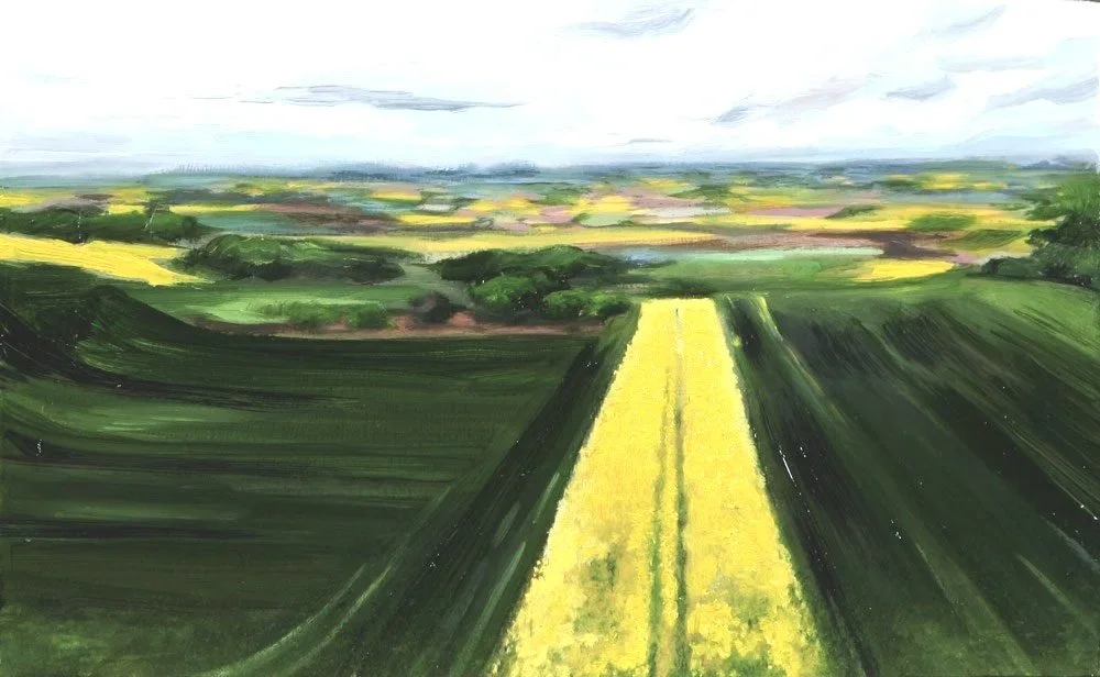 Raps Fields, Hohenzollern, Germany