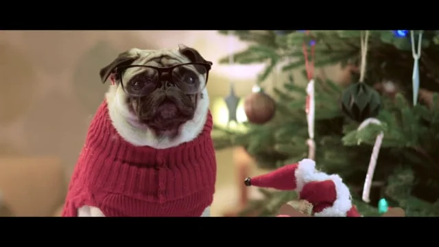 Vision Direct "A Neighbourly Christmas"