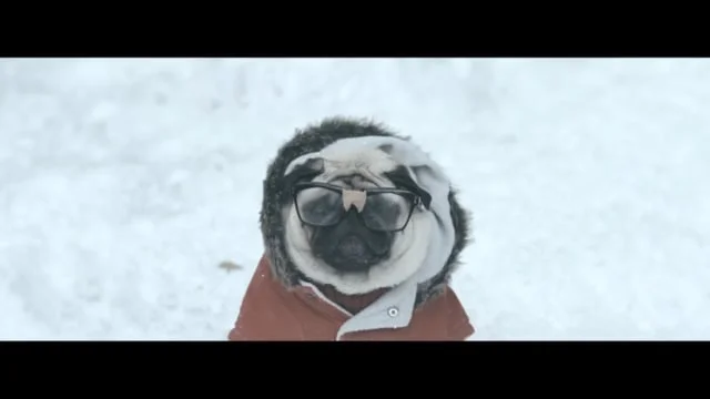 Vision Direct 'PUG'S XMAS'