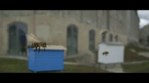 NOMA for American Express