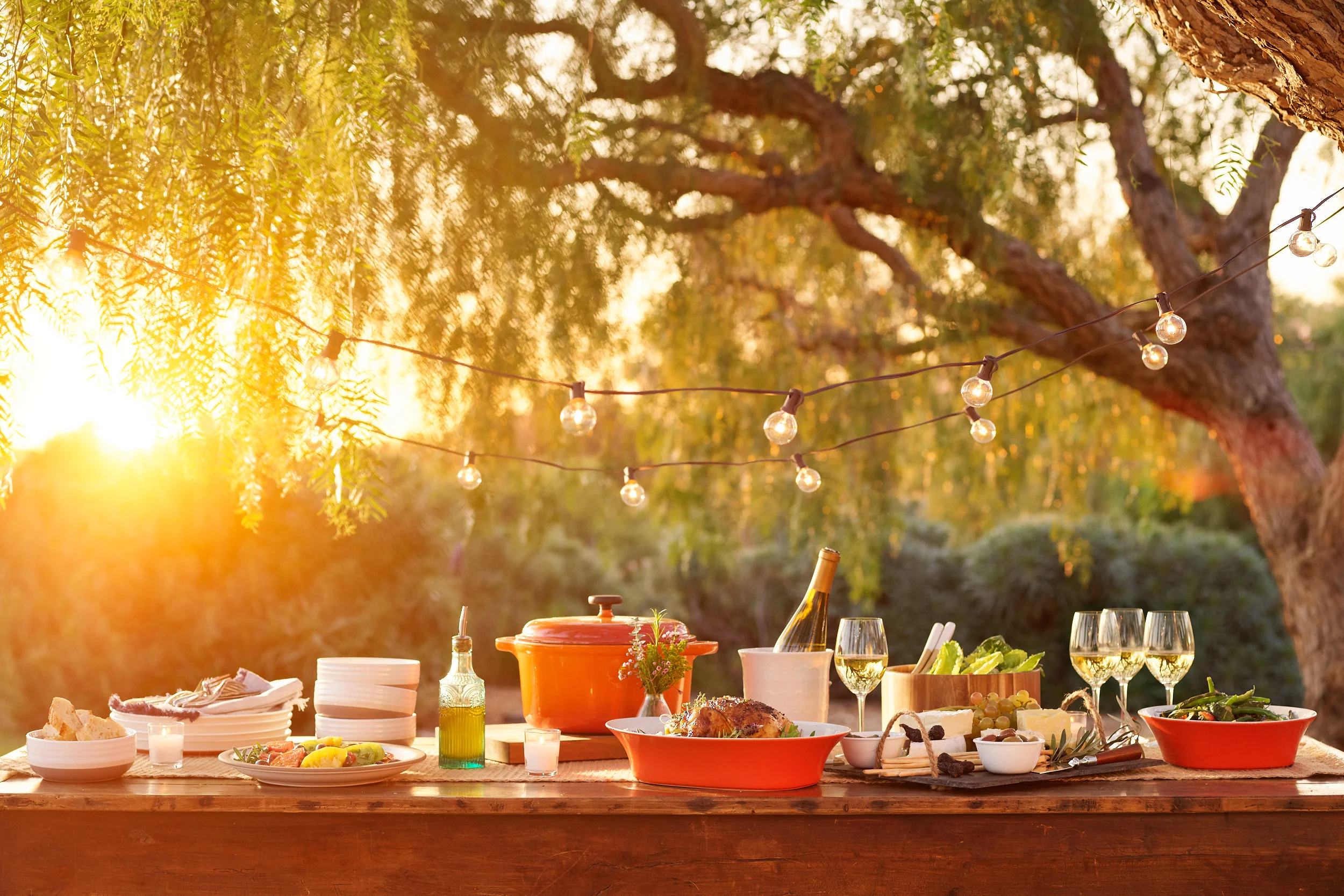 41737_219316_Q2_May_H_Summer_Cookware_4271 1.jpg