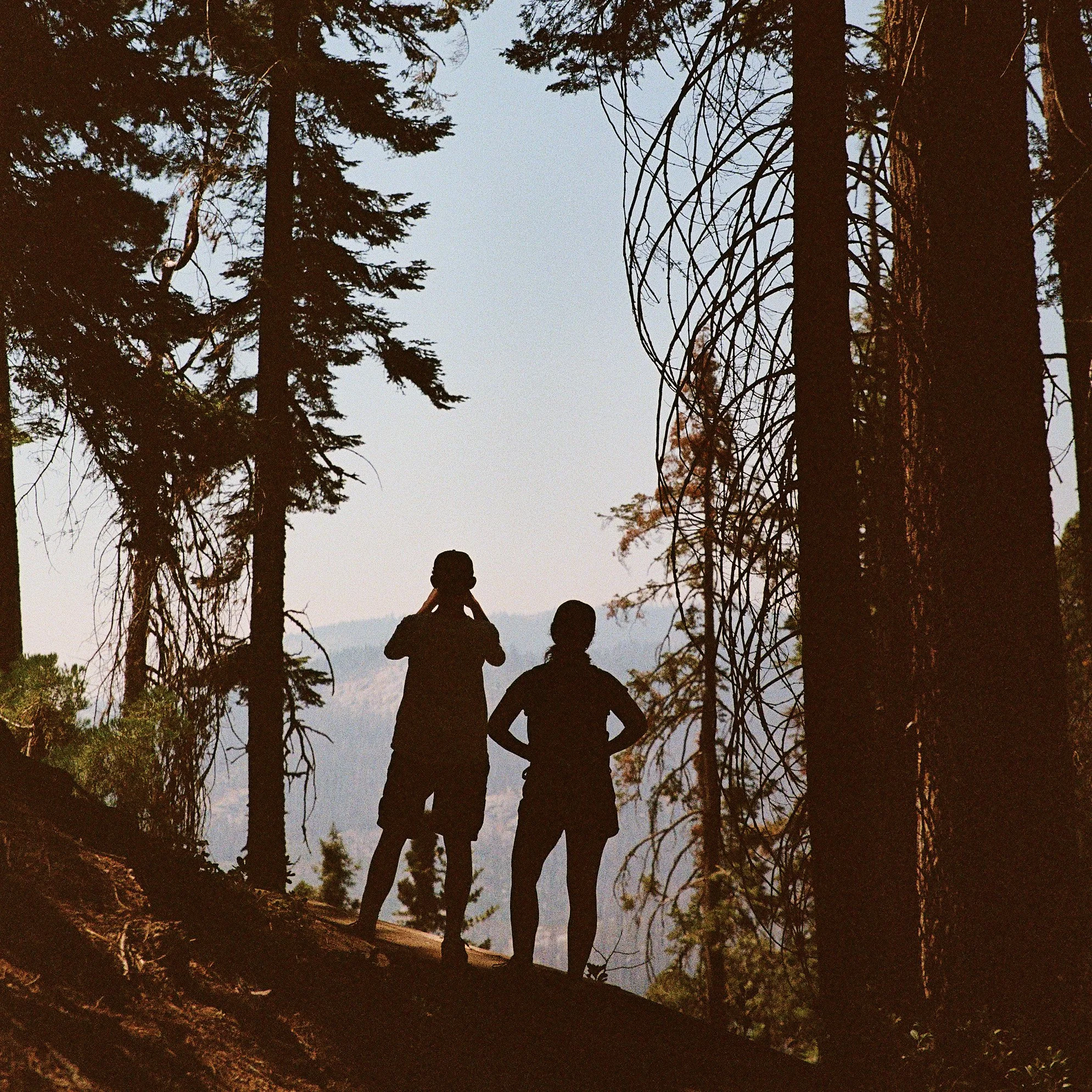 Personal Journal | Sequoia