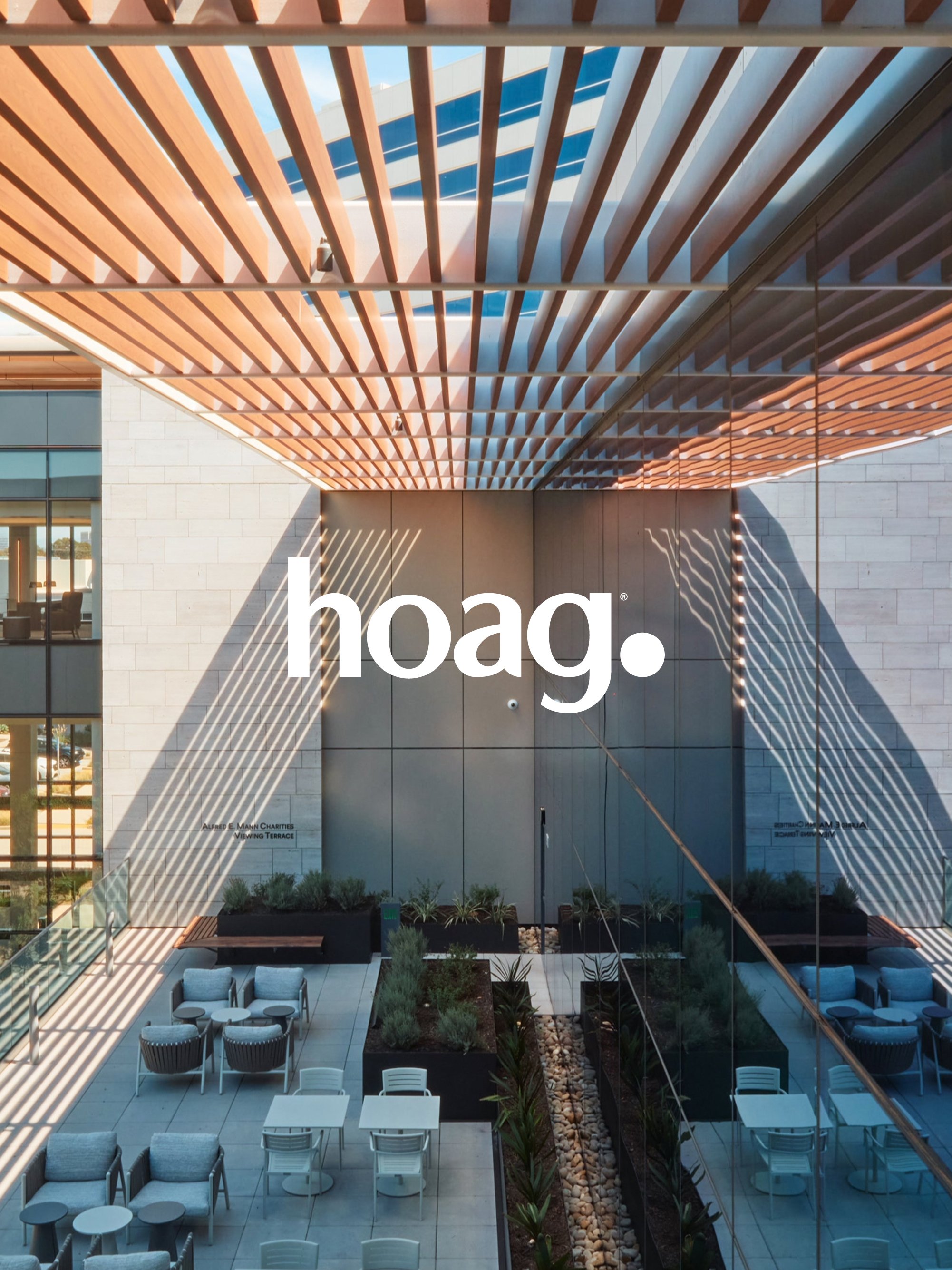 ChrisOzer_Hoag_3x4_02.jpg