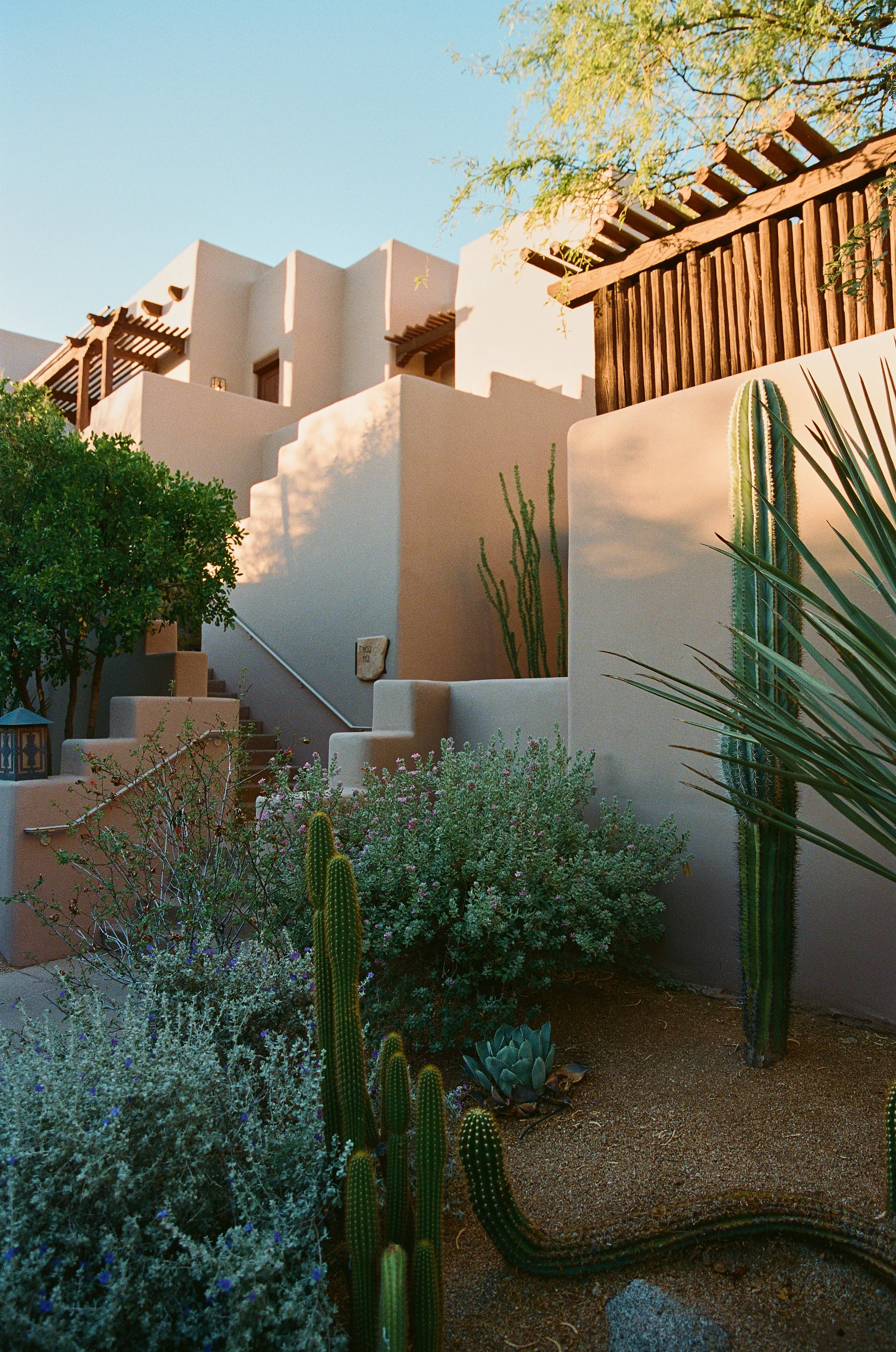 ChrisOzer_FS-Scottsdale_Film_0009.jpg