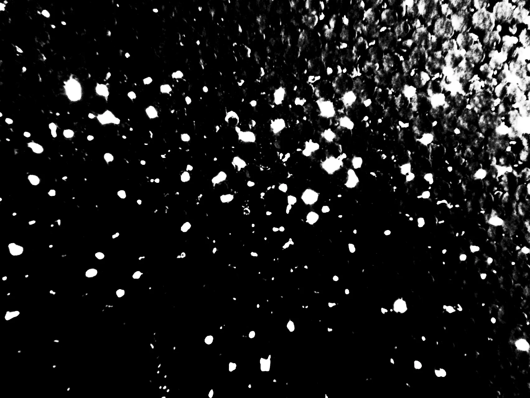 穴が開いた発泡スチロールボード(レフ板) A styrene foam board with lots of tiny tiny holes..