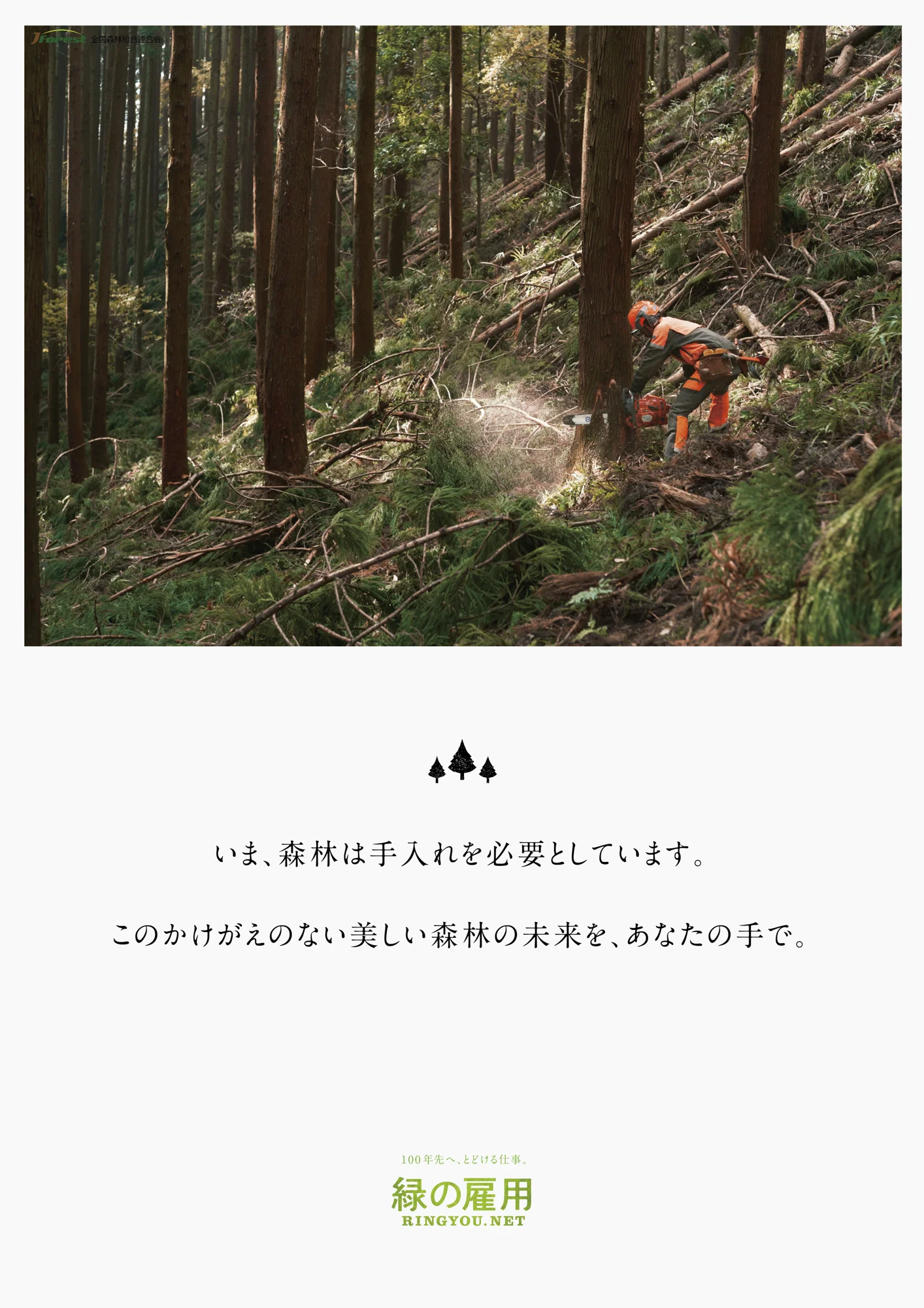 MIDORI_B1-09.jpg