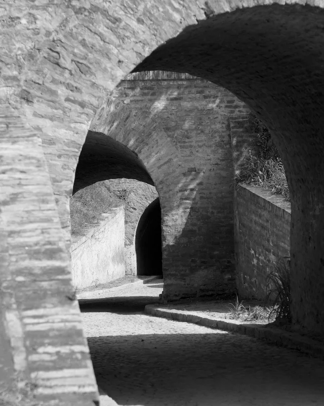 _MG_3486.jpg