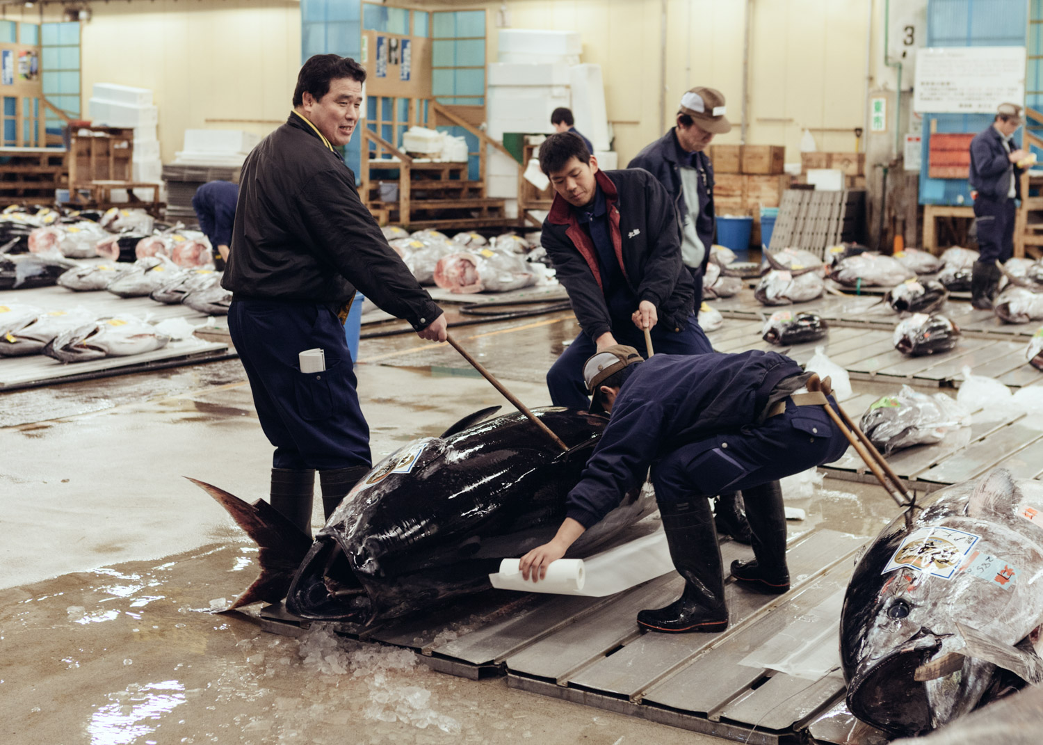 Tsukiji_0004.jpg