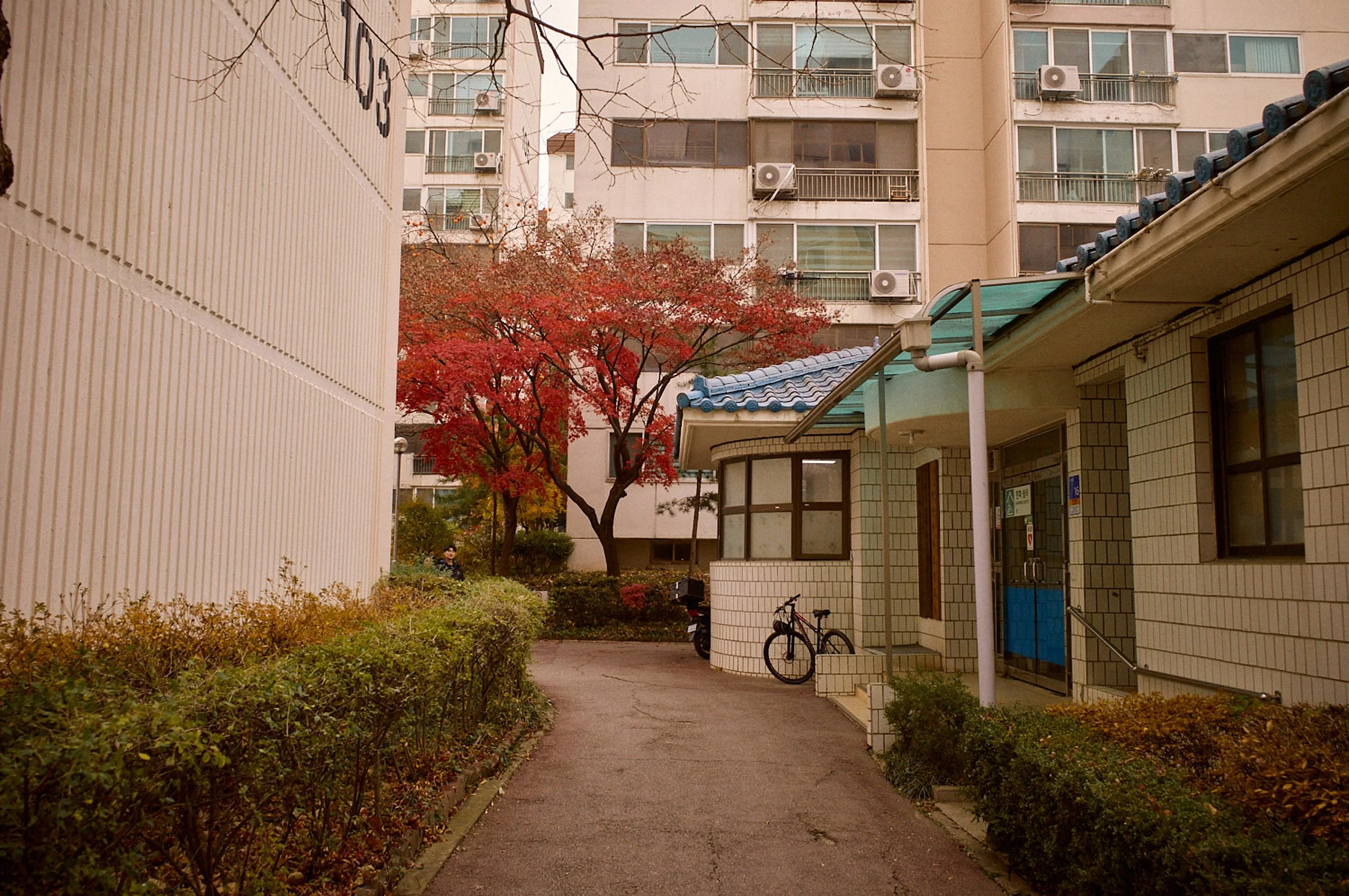 L1000868.jpg