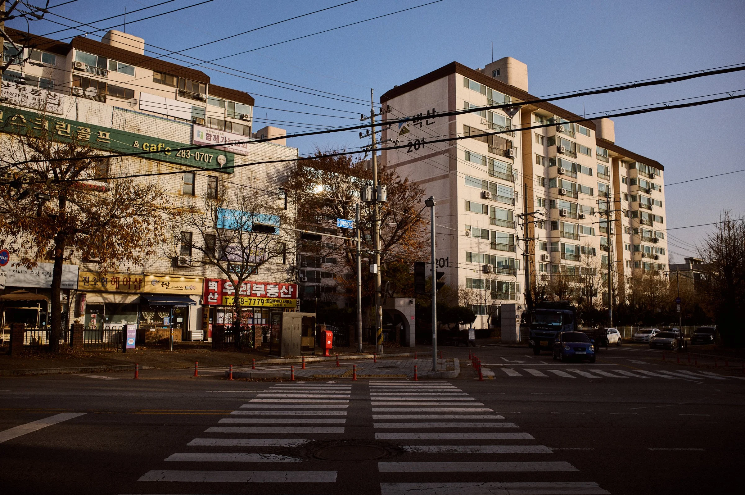 L1000759.jpg