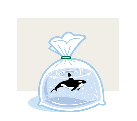 orca2.jpg