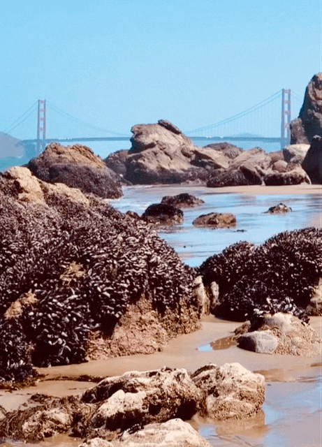 Mile Rock Beach, Lands End trail