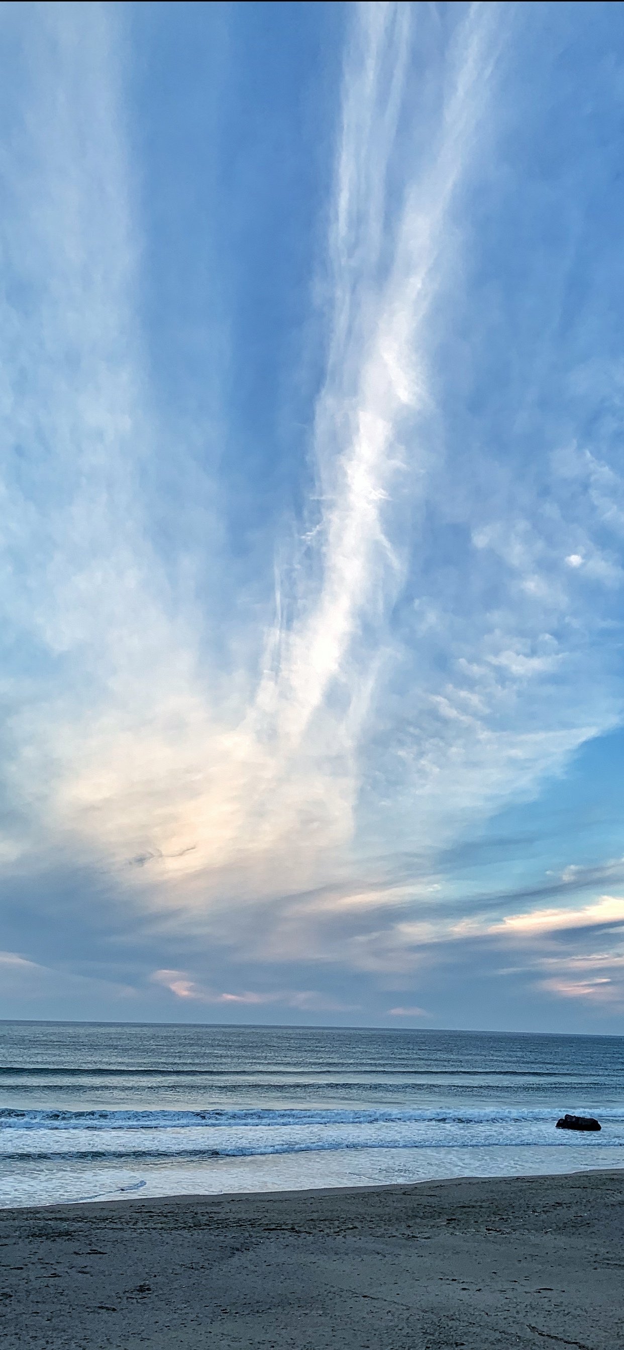 E493D350-293F-4437-97D3-95A215DA911B.jpeg